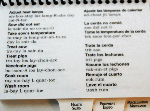 Hog Farming Dictionary - Image 3